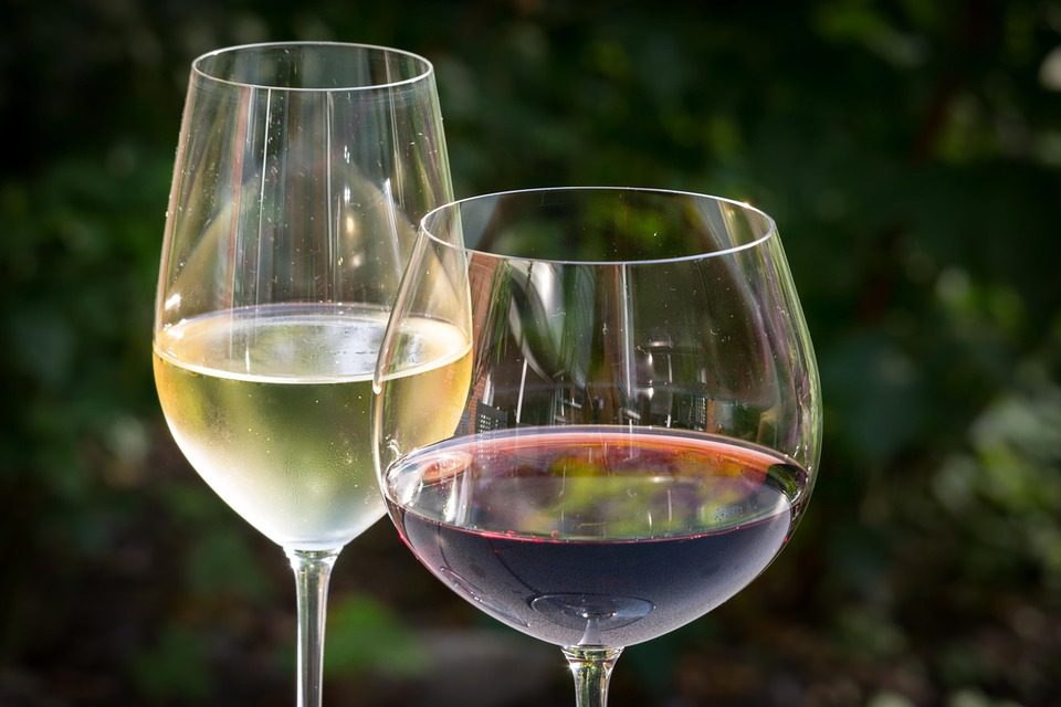 copa de vino tinto y blanco