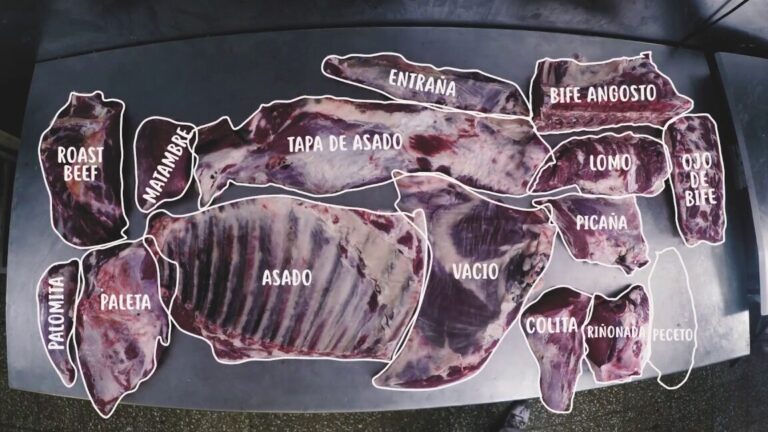 Deliciosas recetas con corte de carne Palomita: descubre los sabores y versatilidad en Argentina