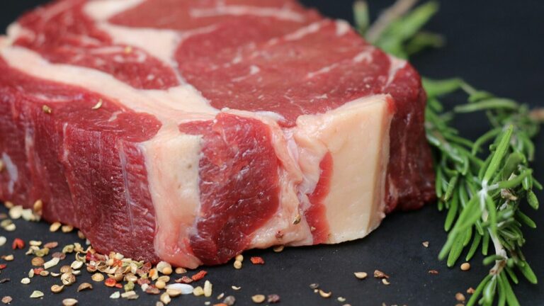 Cuáles son las mejores carnes argentinas 4 Cuáles son las mejores carnes argentinas