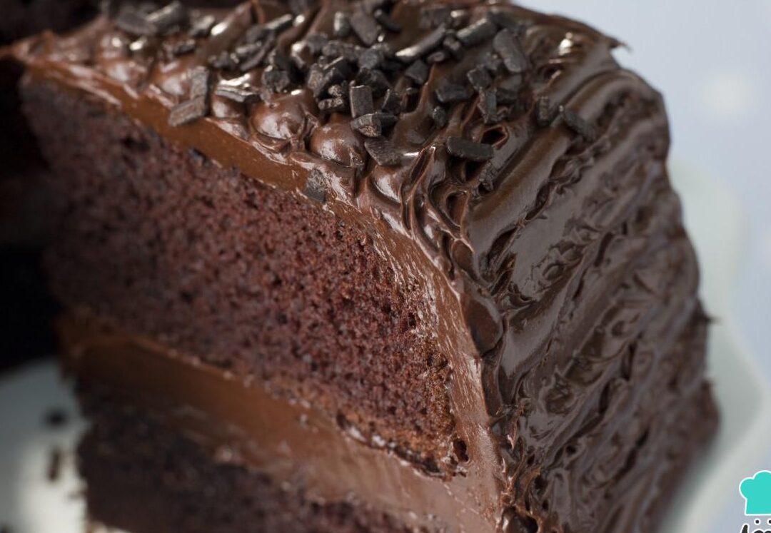 deliciosa torta de chocolate derretido y esponjoso