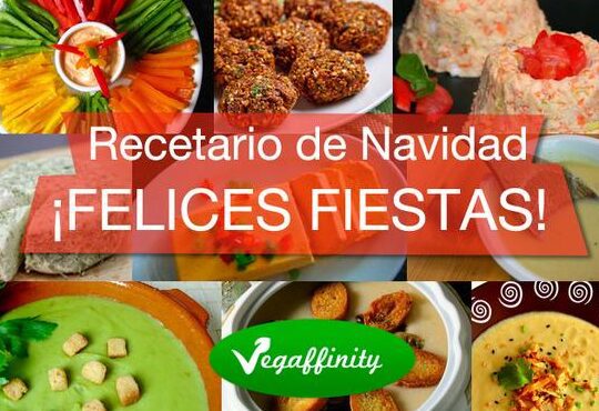 deliciosas albondigas vegetarianas para sorprender a todos prueba esta receta 1