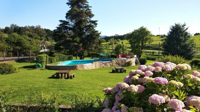 Qué es la Flor de Loto en San Javier y dónde encontrarla 22 Qué es la Flor de Loto en San Javier y dónde encontrarla