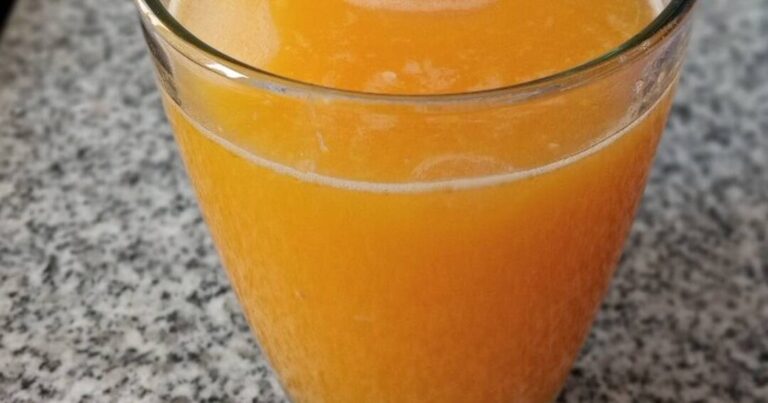 Deliciosas recetas para hacer jugo de naranja casero en minutos