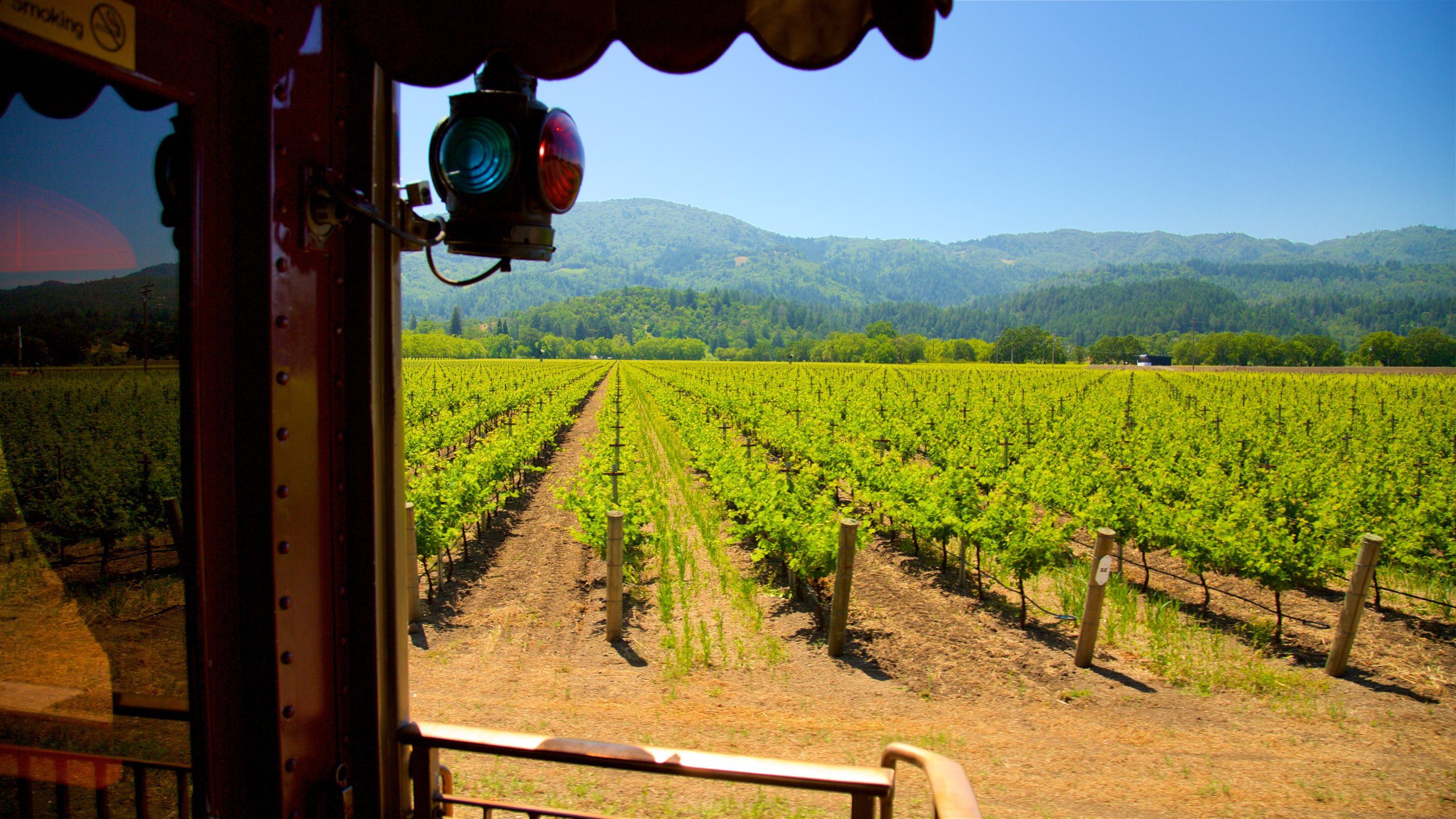 vinedos de valle redondo en california